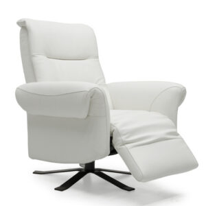 Anice dual motion