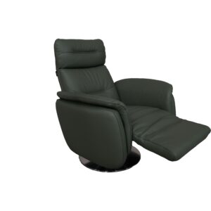 Arnica dual motion