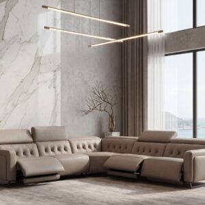 Allegra dual motion