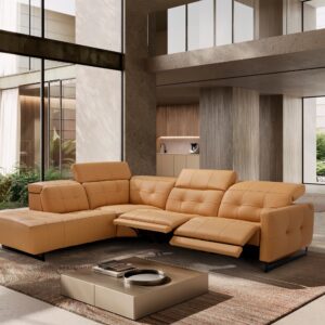 Duke Dual Motion