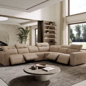 Ventura dual motion